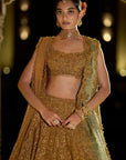 Antique Gold Lehenga Set