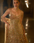 Antique Gold Multi-Coloured Stone Lehenga Set