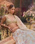Multi-Coloured Applique Lehenga Set