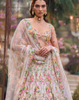 Multi-Coloured Floral Lehenga Set