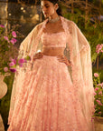 Candy Pink Three-Dimensional Lehenga Set