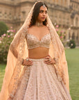 Rose Gold Lehenga Set