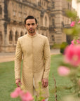 Ivory Gold Sherwani Set