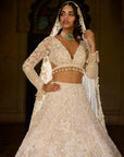 Ivory Gold Sequin Lehenga Set