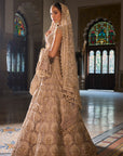 Champagne Pearl Lehenga Set