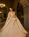 Dark Beige Thread Work Lehenga Set