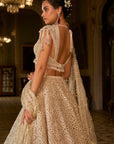 Dark Beige Thread Work Lehenga Set