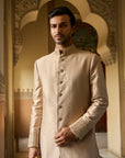 Coffee Gold Sherwani Set