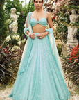 Turquoise Sequin Lehenga Set