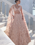 Powder Peach Cut Work Lehenga Set