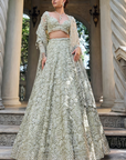 Sage Green Three-Dimensional Lehenga Set