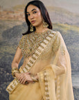 Kahani Jadau Organza Saree Set