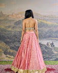 Gulbahar Mirror Lehenga Set