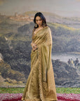 Zarvika Fusion Tissue Saree Set