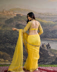 Peela Tara Organza Saree Set