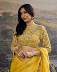 Peela Tara Organza Saree Set