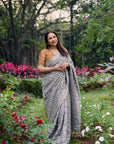 Chandi Rang Heritage Saree Set