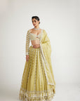Fern Green Chandelier Pearl Drop Full Sleeve Lehenga set