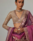 Mud Mauve Multicolor Lehenga With V Neck Blouse