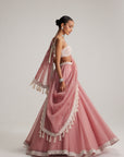Dusty Rose Organza Mirror And Pearl Lehenga Set