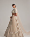 Light Beige Dense Pearl And Mirror Lehenga Set With High Neck Blouse, Double Dupatta And Veil