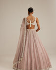 Ash Pink Pearl Mirror Linear Lehenga With V Neck Blouse