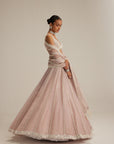 Ash Pink Pearl Mirror Linear Lehenga With V Neck Blouse
