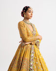 Yellow V Neck Heavy Multi Color Lehenga Set