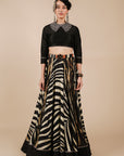 Zebra Print Skirt Set