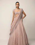Ash Pink Sequins Embroidered Lehenga Set
