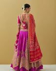 Pink Scalloped Edge Lehenga Set