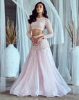 Pink Paradise