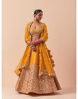 Mango Zardozi Heavy Lehenga Set