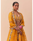Mango Zardozi Heavy Lehenga Set