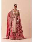 Red Lehenga Let With A Powder Pink Blouse Set With Two Dupattas