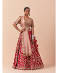Red Lehenga Let With A Powder Pink Blouse Set With Two Dupattas