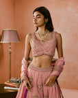 Johari Lehenga Set 2