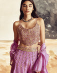 Rani Sa Sharara Set 2