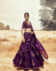 Rani a Baingani Lehenga set 1