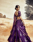 Rani a Baingani Lehenga set 4