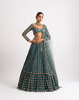 Mud Green Single Tier Lehenga Set