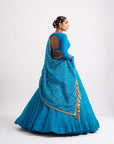 Firozi Silk Organza Heavy Dupatta Lehenga Set