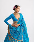 Firozi Silk Organza Heavy Dupatta Lehenga Set