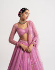 Dark Blush Single Tier Lehenga Set
