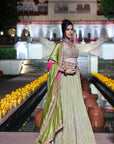 Classic Lehenga
 Set