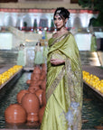 Classic Saree Set