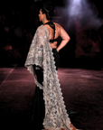 Rewa Draped Saree