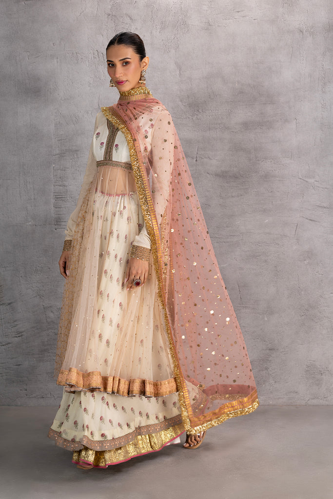 Blush Net Printed &amp; Embroidered Anarkali Set