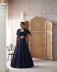Midnight Revierie Embroidered Lehenga Set