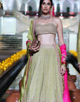 Classic Lehenga
 Set
